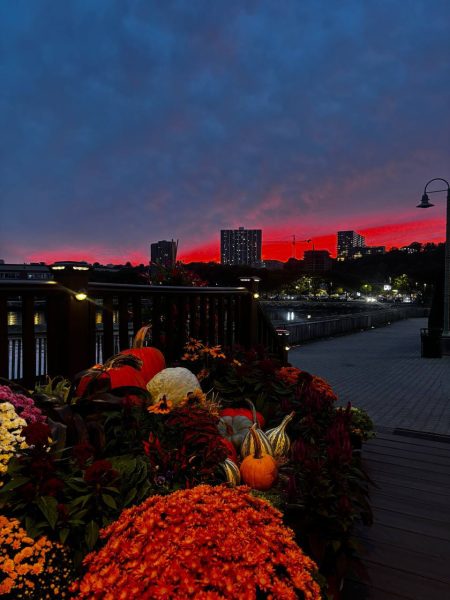 photo_2025-09-30 08.19.37