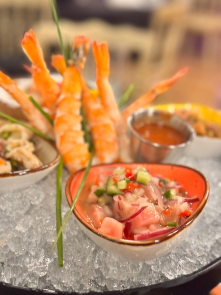 PHOTO-2024-12-09-19-09-45